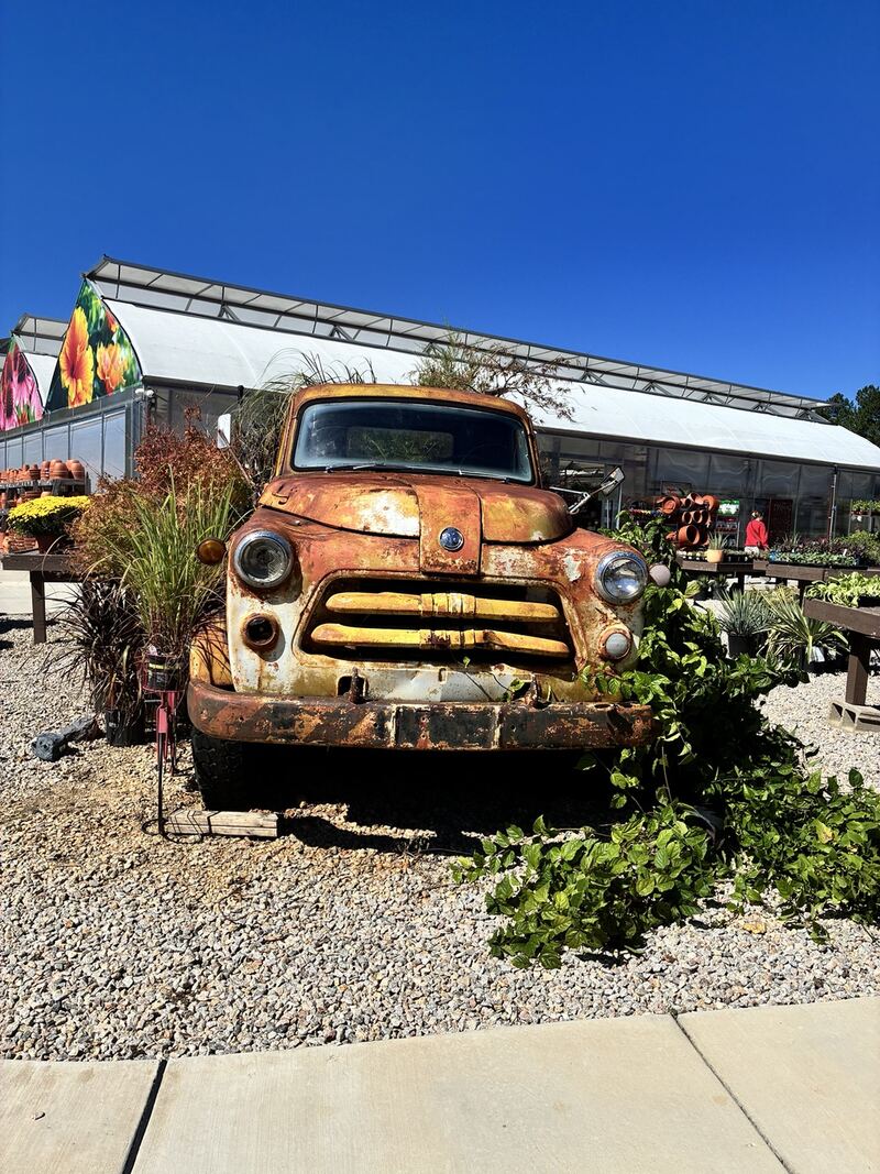 An old truck anchors a garden display.