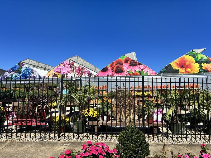 Colorful coverings above an outdoor plant display.