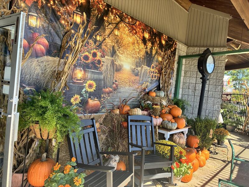 Seasonal decorations arranged near a shop entrance.