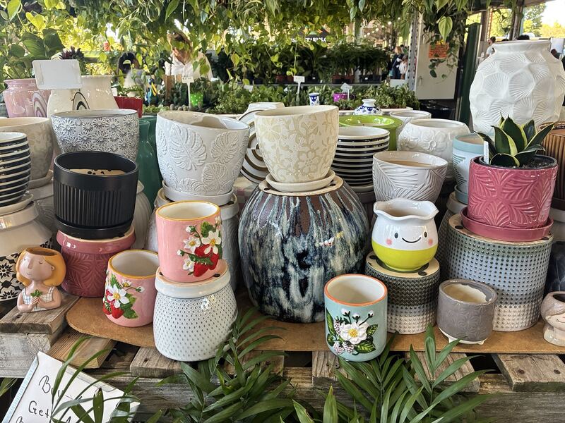 Decorative plant pots displayed beside greenery.