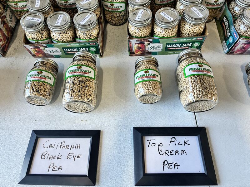 Jars labeled California Black Eye Pea and Top Pick Cream Pea.