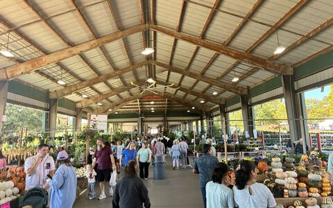 Shoppers browse the covered aisle beneath the market roof.