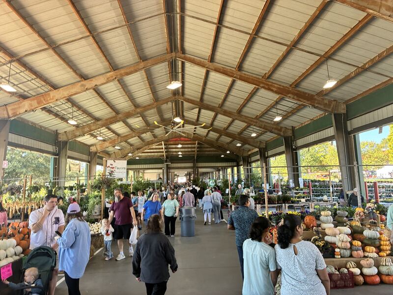 Shoppers browse the covered aisle beneath the market roof.