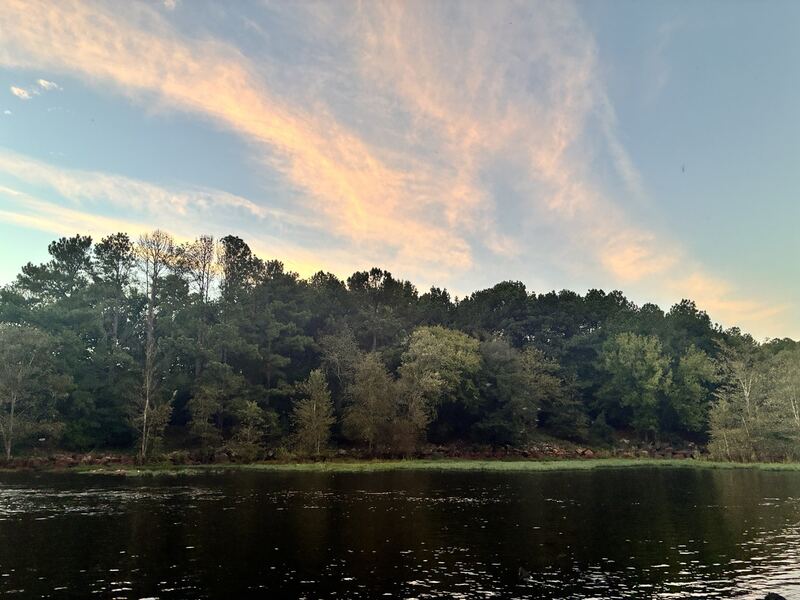 A warm sky above the wooded bank.
