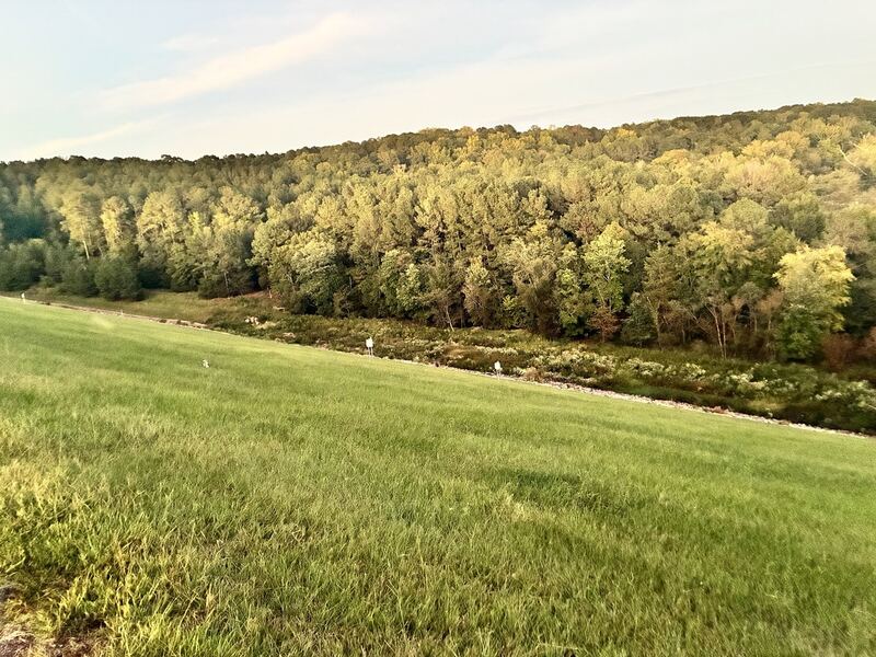 The broad green embankment and surrounding woods.