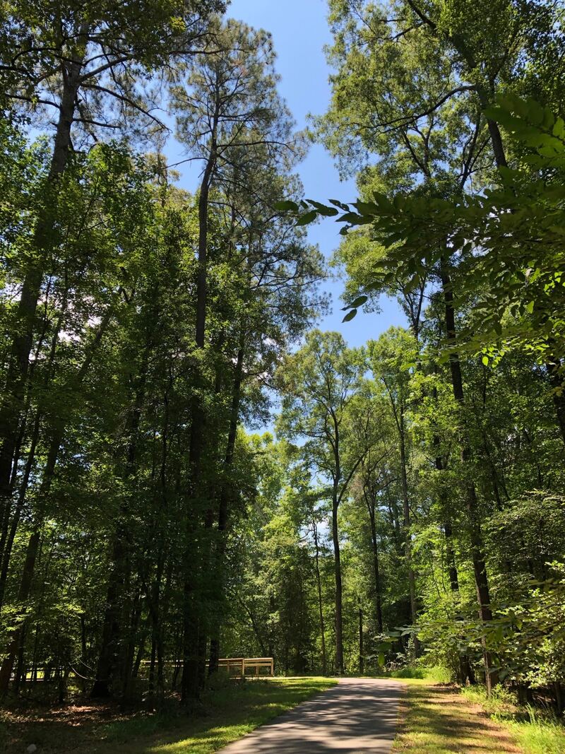 Neuse River Trail Greenway in Raleigh, North Carolina